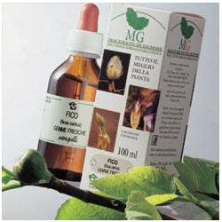 SEQUOIA 100ML MG-1