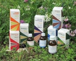 Raemil A1 Lavanda Composto 100ml-1