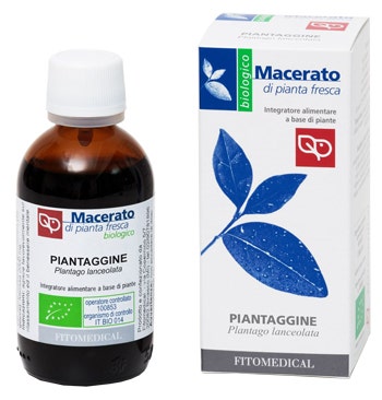 Fitomedical Piantaggine Tintura Madre Bio 50ml-1