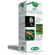TIGLIO ARGENT 100ML MG-1