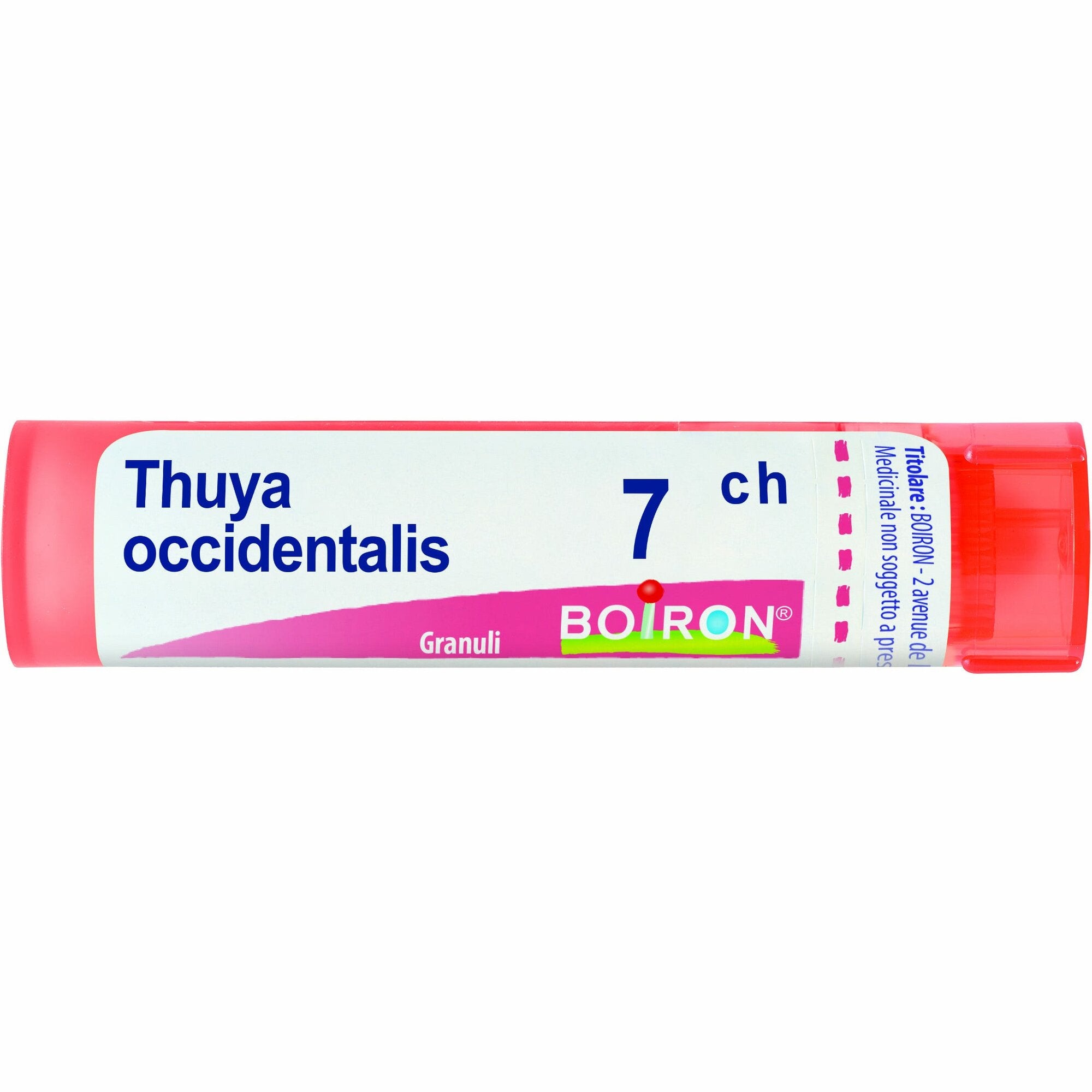 Boiron Thuya Occidentalis Granuli 07Ch Tubo 4g-2