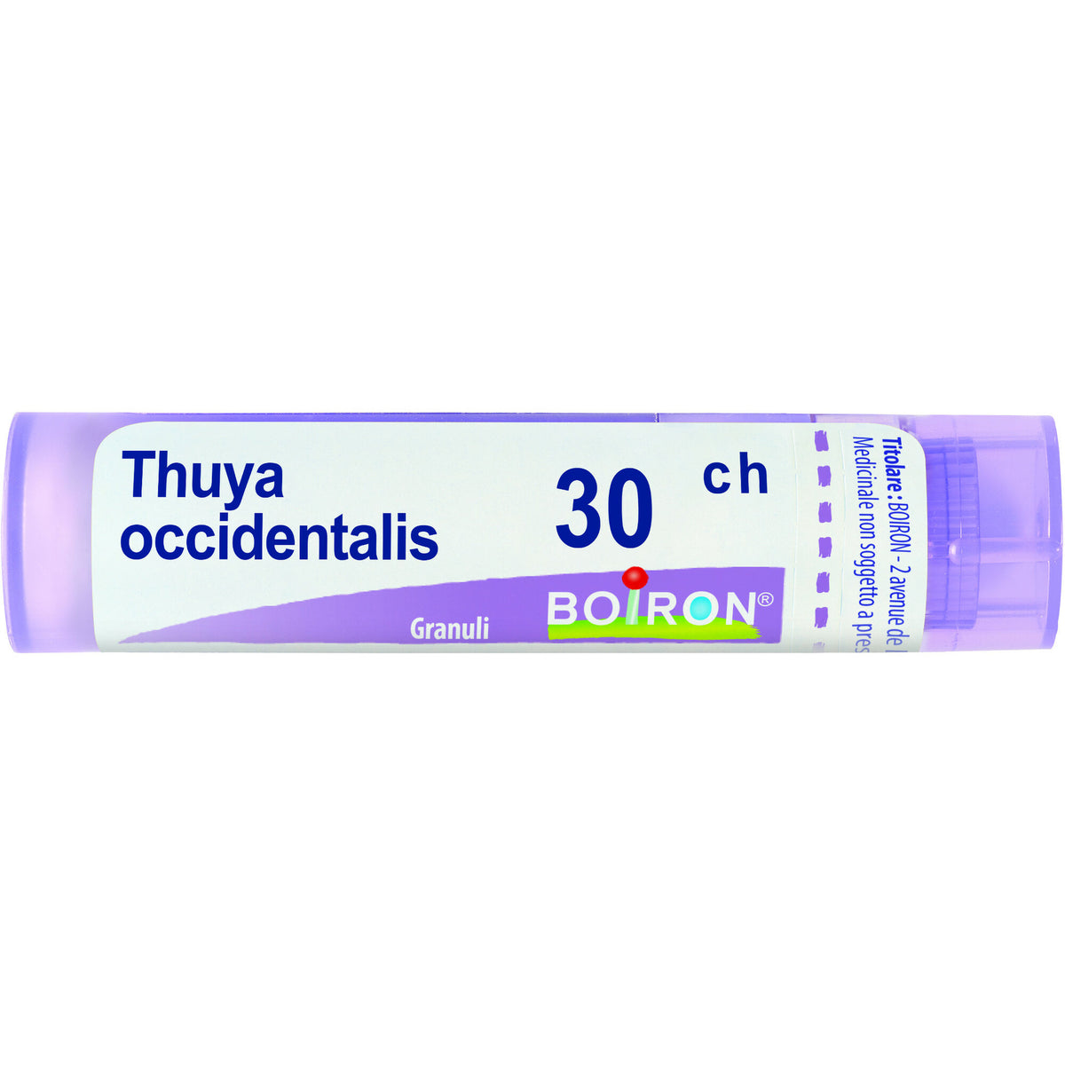 Boiron Thuya Occident 30CH medicinale omeopatico granuli 4g-2