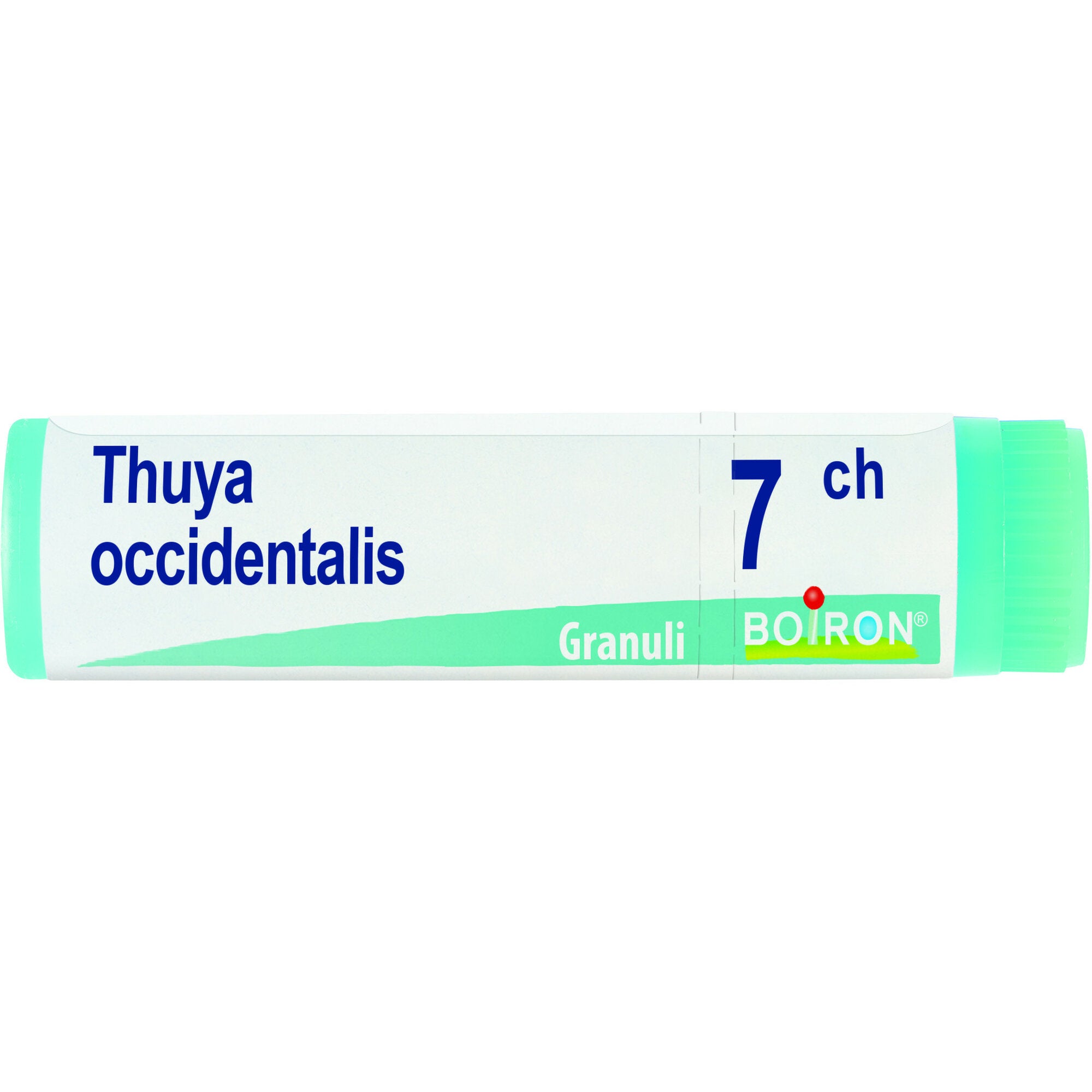 Boiron Thuya Occidentalis 7CH medicinale omeopatico granuli-2