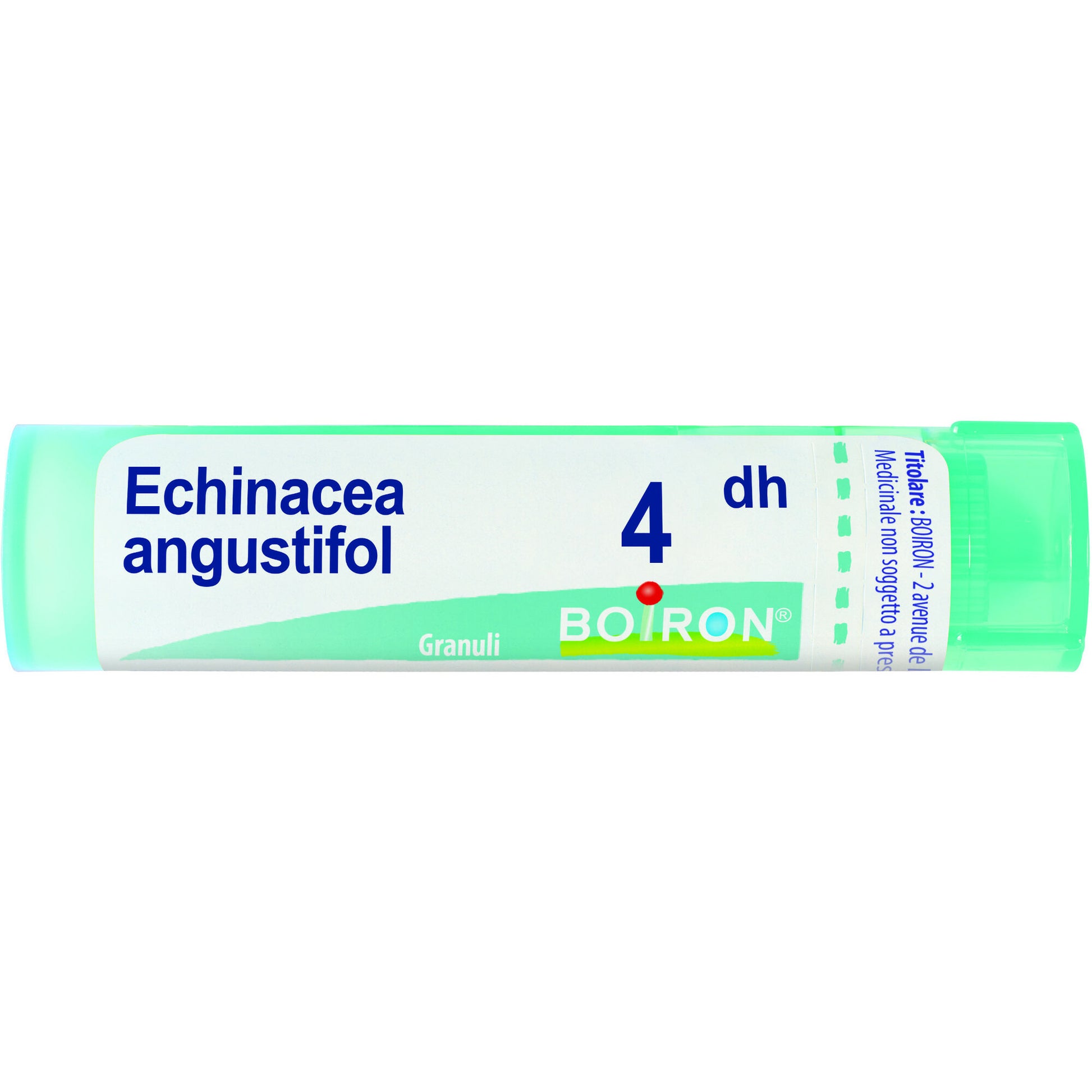 Boiron Echinacea Angustifolia Granuli 04Dh Tubo 4g-2