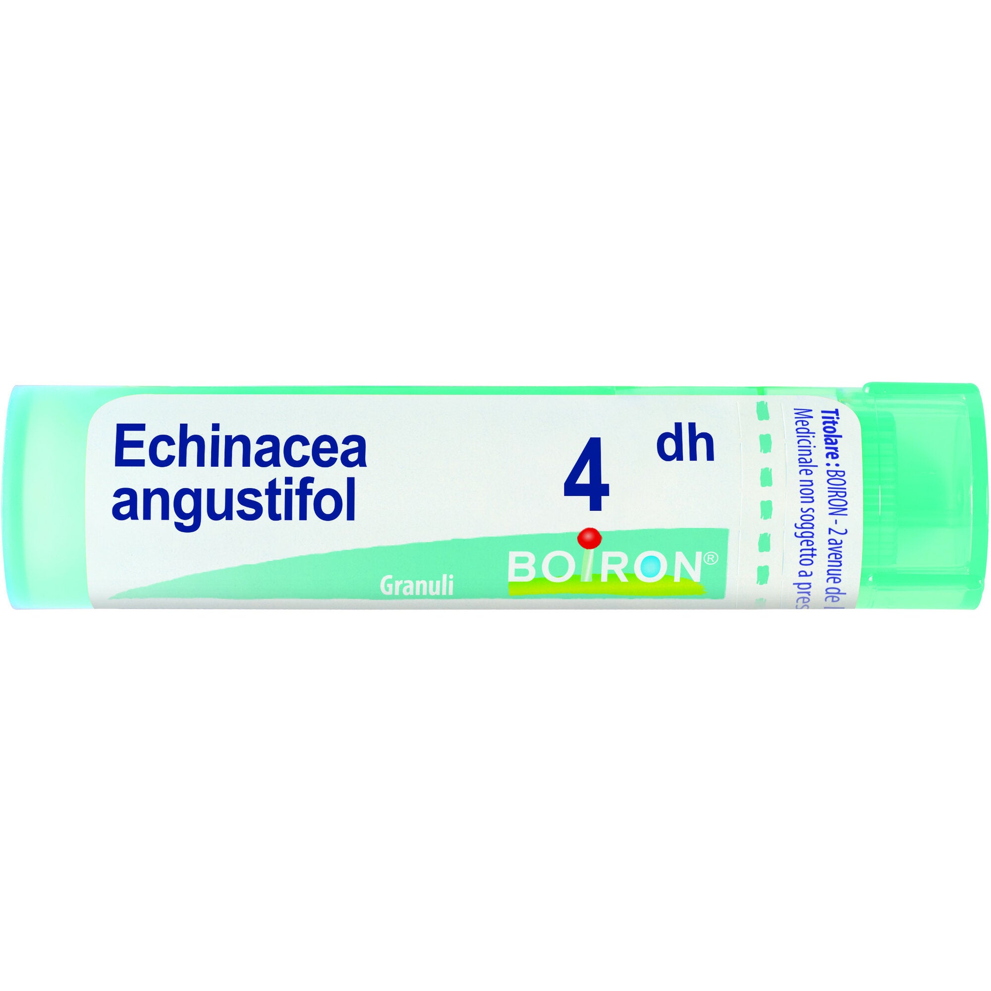 Boiron Echinacea Angustifolia Granuli 04Dh Tubo 4g-2