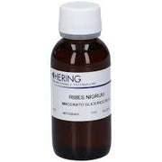 Ribes Nigrum Gemme 60 ml-1
