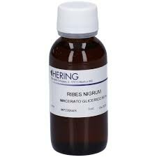 Ribes Nigrum Gemme 60 ml-1
