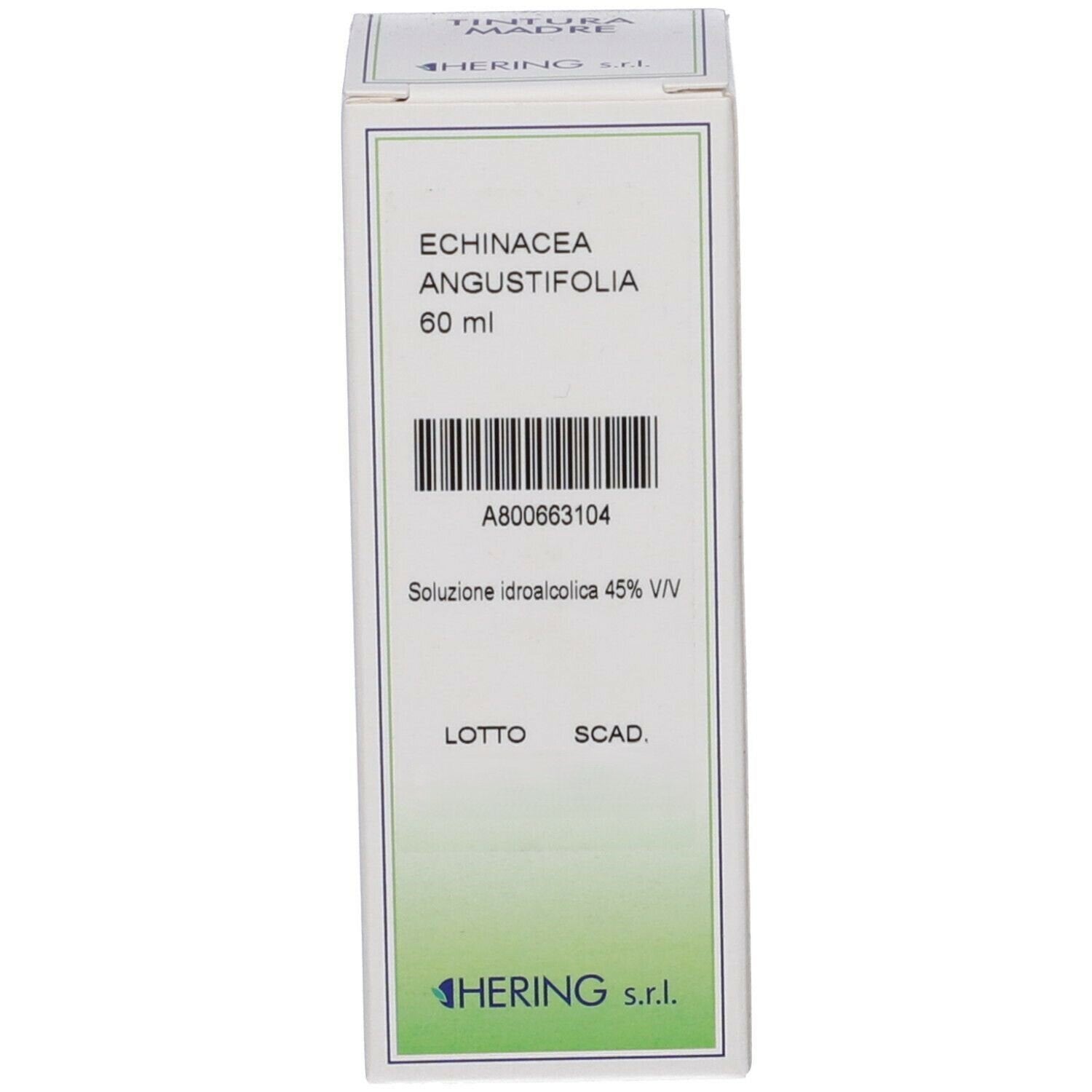 ECHINACEA ANGUST 60ML TM-1