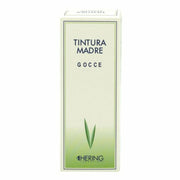 RIBES NIGRUM 60ML TM-1