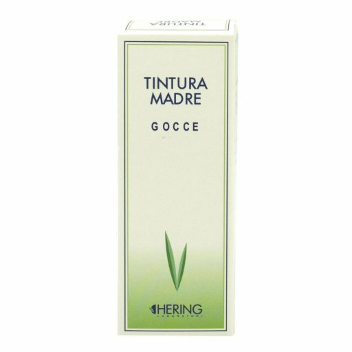 RIBES NIGRUM 60ML TM-1