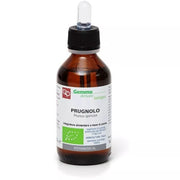 Fitomedical Prugnolo Gemma Derivato Biologico 100ml-1