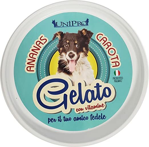 UNIPRO GELATO ANANAS E CAROTA GR.100-1