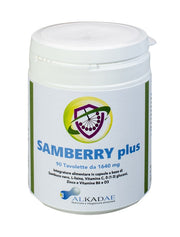 SAMBERRY PLUS 90TAV-1
