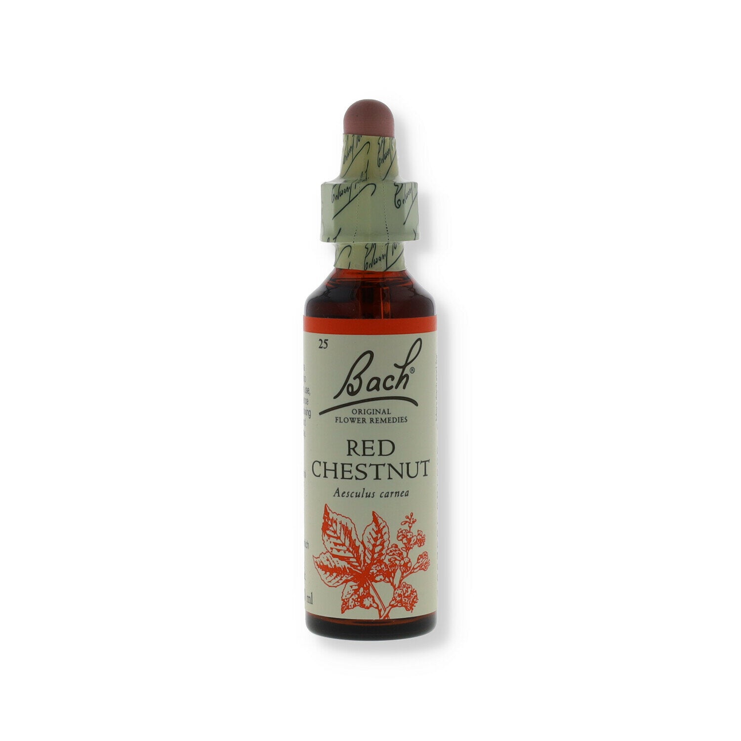 BACH CENTER ESS RED CHESTNUT20-1