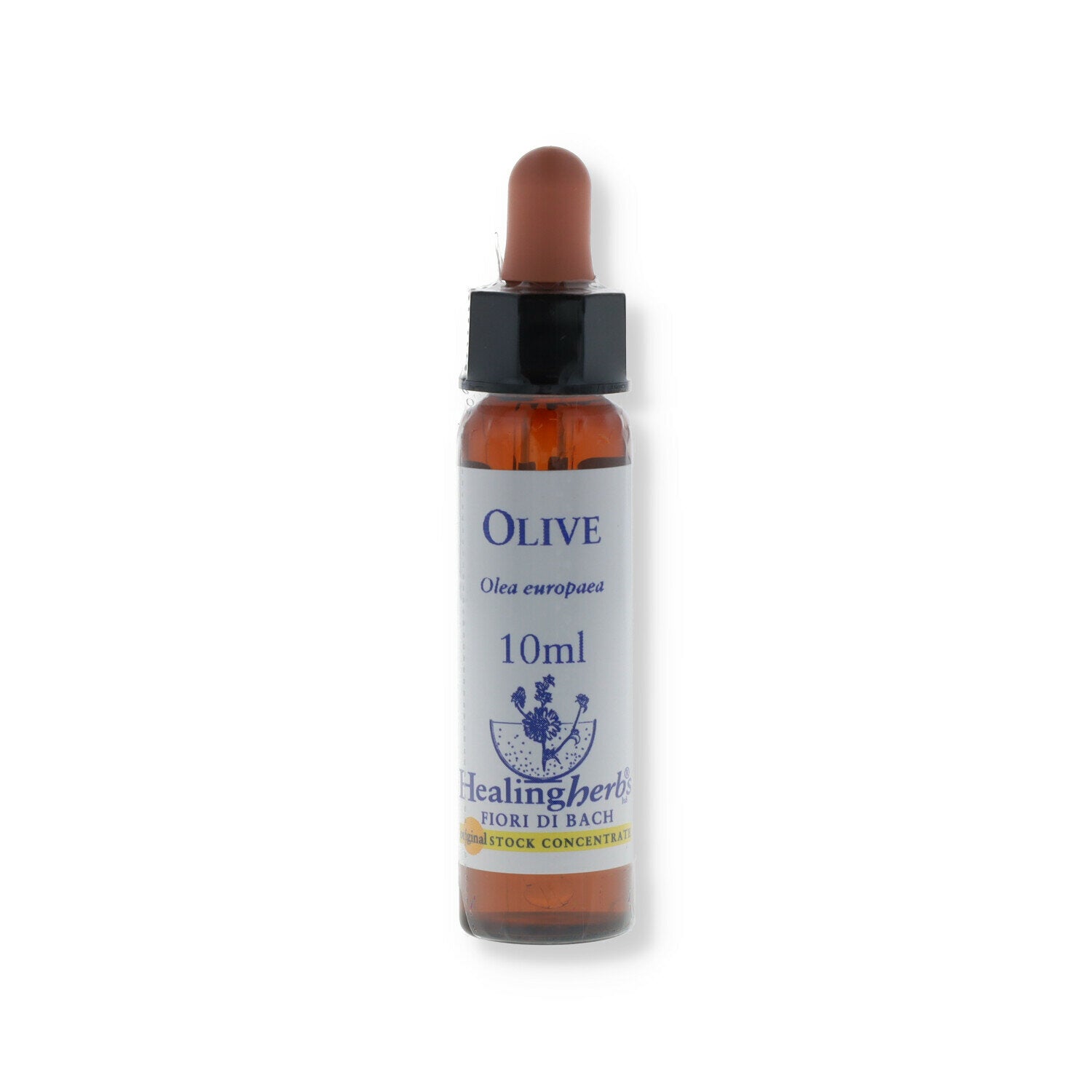 OLIVE ESSENZA 10ML-1