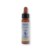 OLIVE ESSENZA 10ML-1