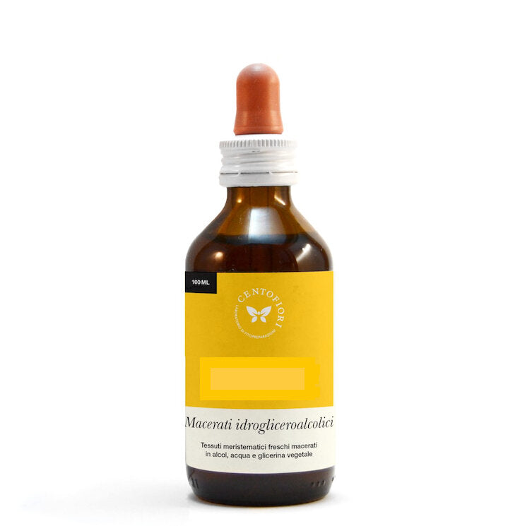 Cento Fiori Rosa Canina 100ml Macerato Di Gemme-1