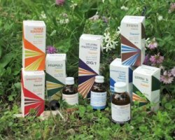 Raemil Propoli Composto Macerazione Idroalcolica 15ml-1