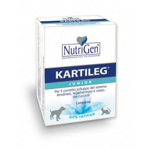 Kartileg Junior 60 Tavolette-2
