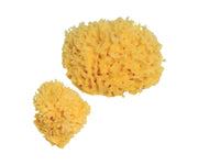 Spugna Naturale Mare Numero 6 Super 1 Pezzo