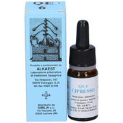 Quintessenza Qe6 Cipresso 10ml