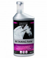 BETAMAG FT EQUISTRO 1LT-2