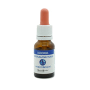 Natur Essenza Singola Acque Tibetane Cristalmantra Ossidiana 15ml-1