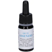 Alkaest Assenzio QE23 10ml