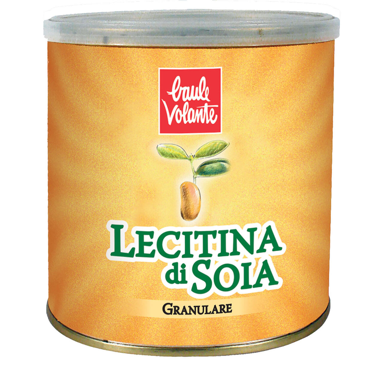 LECITINA SOIA 250G