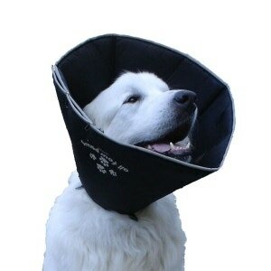 COMFY CONE COLLARE ELISABET M-1