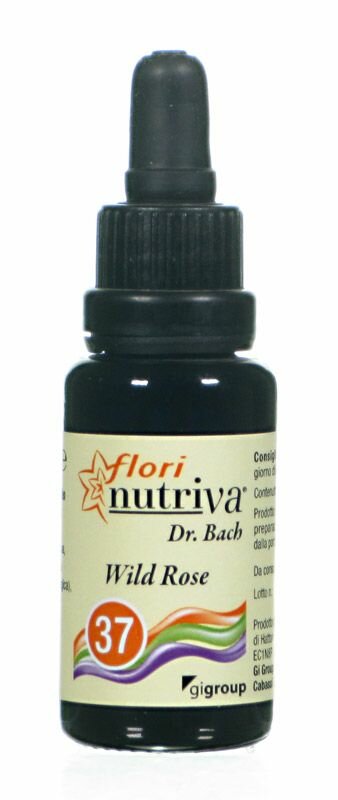 Nutriva Fiori di Bach Wild Rose 37 (20 ml)-1