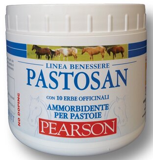PASTOSAN AMMORB PASTOIE 500G-1