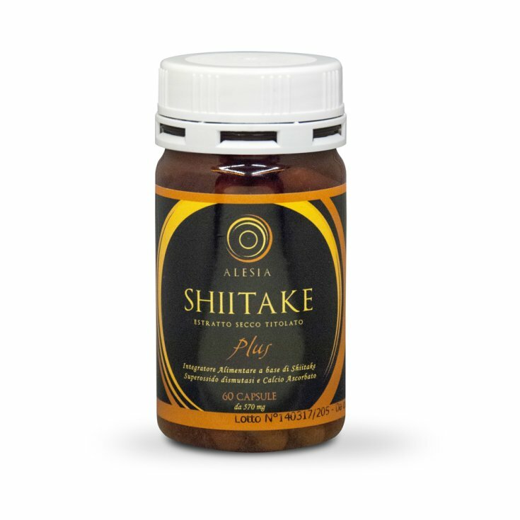 Shitake Plus 60 Capsule-1