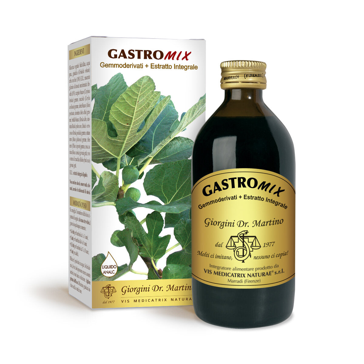 GASTROMIX LIQUIDO ANALC 100ML-1