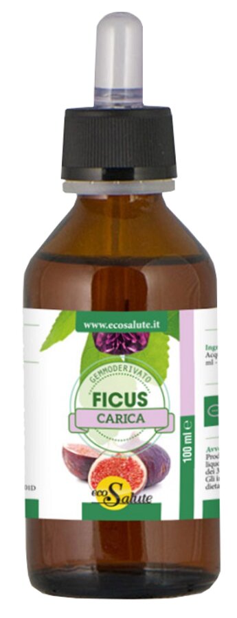 Ficus Carica Gemmodeivato 100ml-1