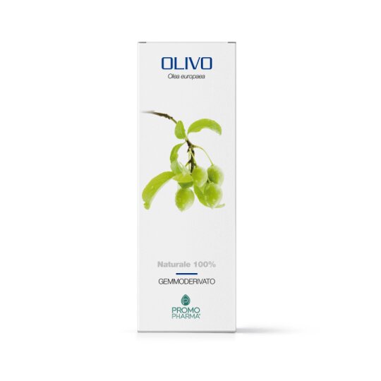 OLIVO GEMMODERIVATO 50ML-1