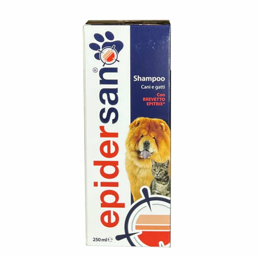 Epidersan Shampoo 250ml-1