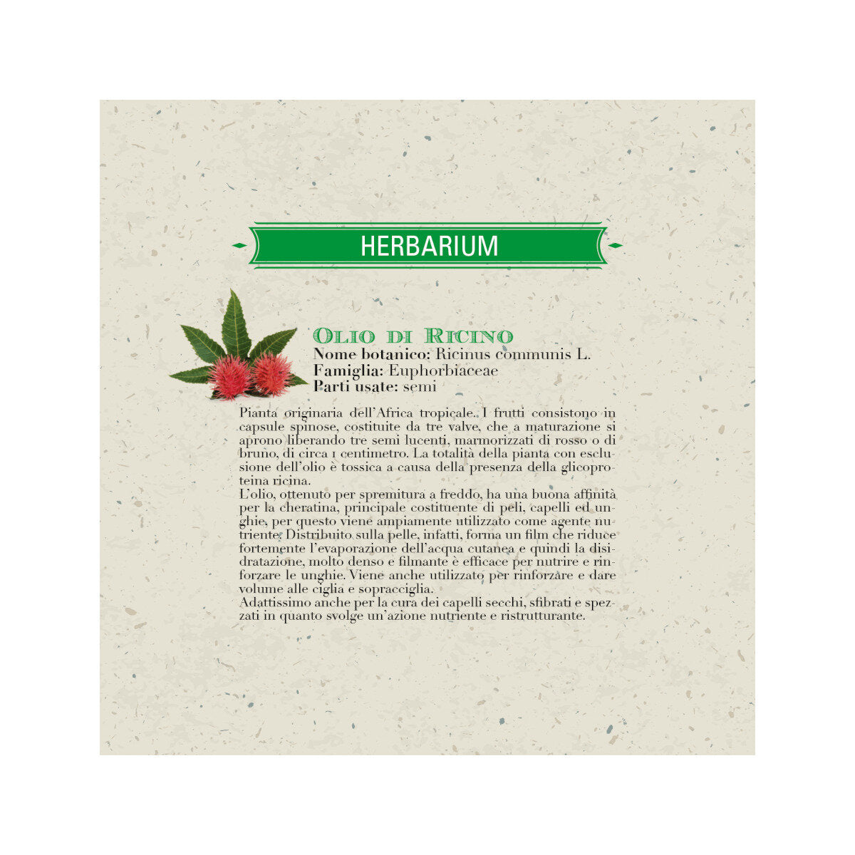 Helan I Rimedi Olio Di Ricino Bio 100ml-3