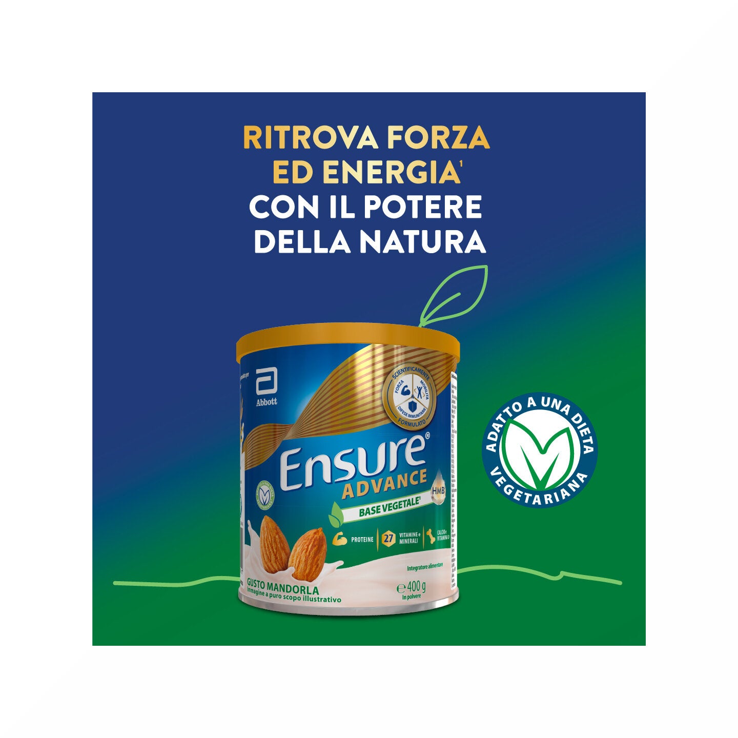 Ensure Advance Base Vegetale Integratore alimentare con Proteine Vegetali Gusto Mandorla 400g-4
