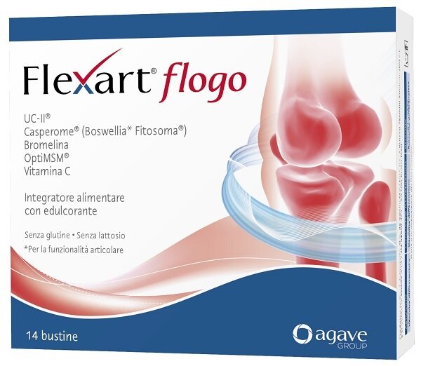 Flexart Flogo 14 Bustine-1