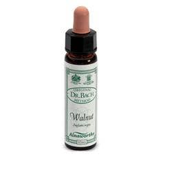 AINSWORTHS WALNUT 10ML-1