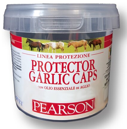 PROTECTOR ONE AGLIO 600CPS-1