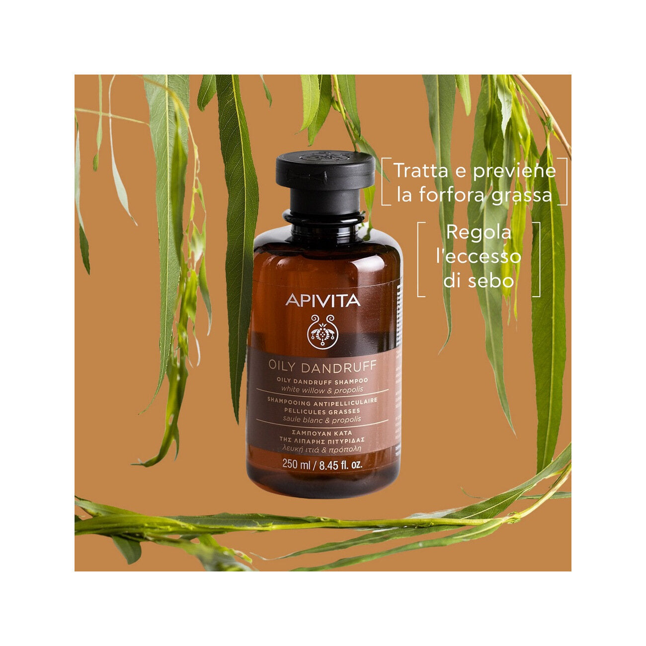 Apivita Oily Dandruff Shampoo White Willow & Propolis shampoo forfora grassa 250ml-2
