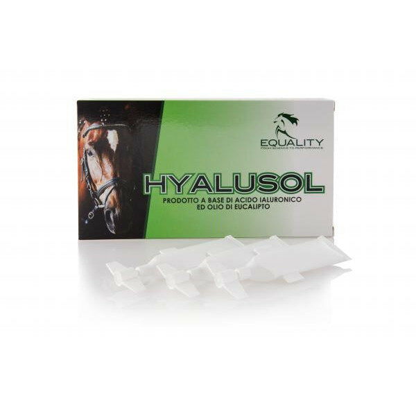 Hyalusol Aerosol Ambientale Per Equini 10 Flaconi Monodose Da 8ml-2