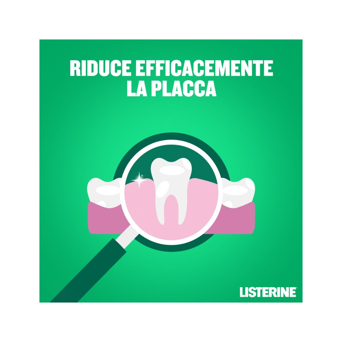 Listerine Difesa Denti e Gengive gusto Delicato OFFERTA 2x500ml-18