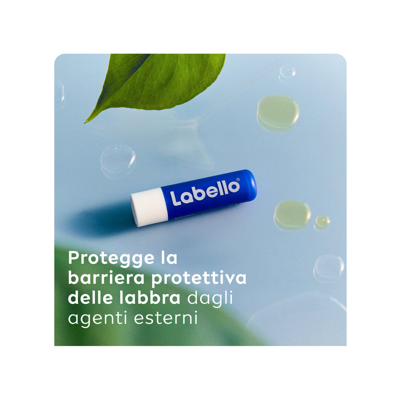 Labello Classic Care Balsamo Labbra Burrocacao Labbra Classico Fondente Sulle Labbra 4,8g-3