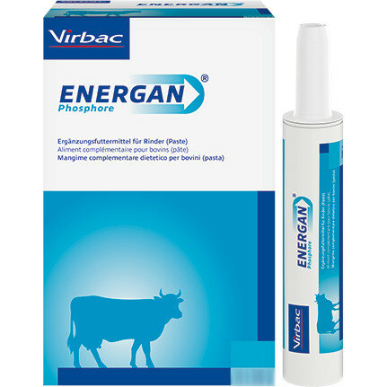 Energan Phospore Mangime Complementare Con Fosforo Per Bovini 1 Tubo Siringa-2
