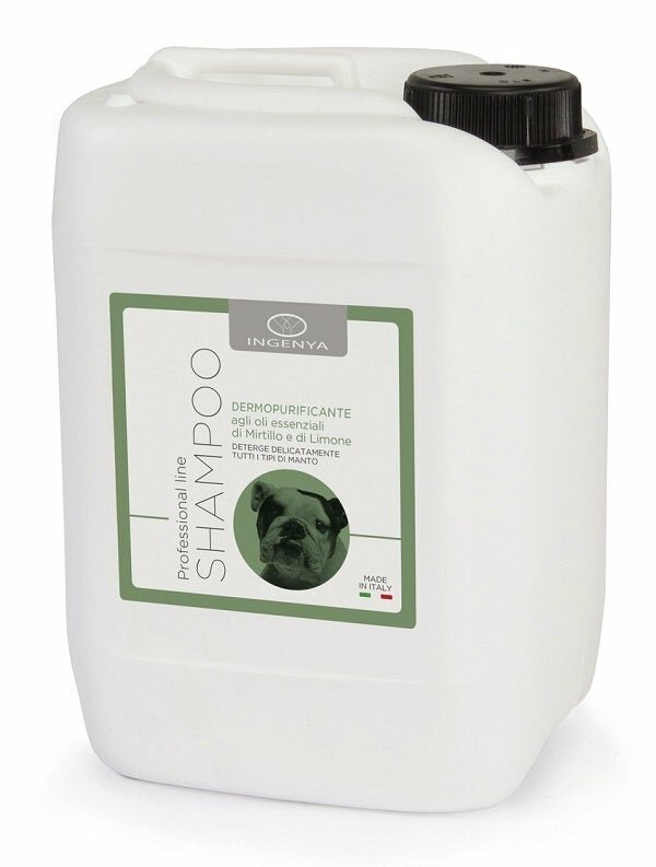 SHAMPOO IGIENIZZANTE 5L-1