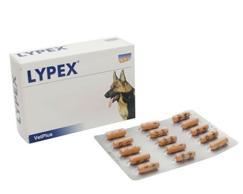 Lypex integratore alimentare per animali 60 capsule-2