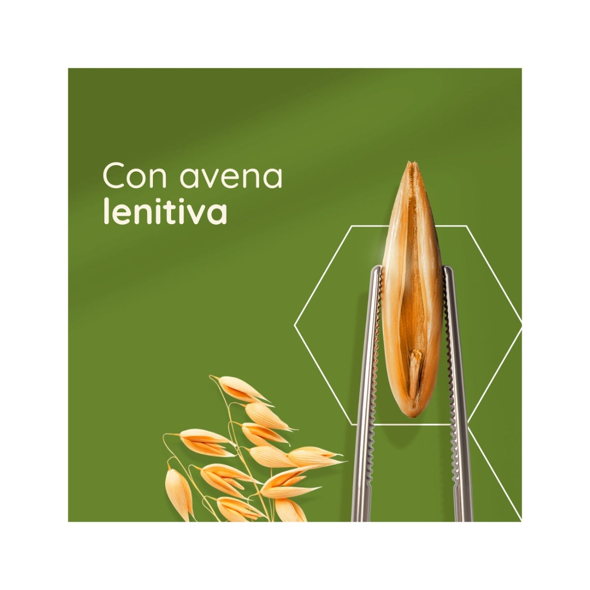 Aveeno Daily Moisturising Bagno Doccia profumo delicato 300ml-10